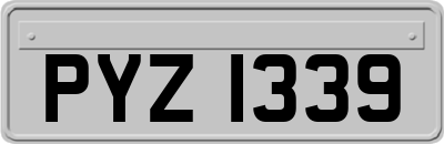 PYZ1339