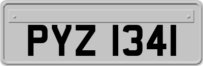 PYZ1341