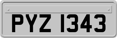 PYZ1343