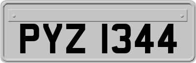 PYZ1344