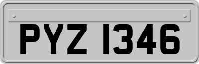 PYZ1346