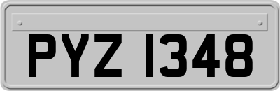 PYZ1348