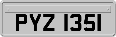 PYZ1351