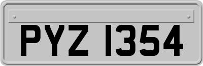 PYZ1354