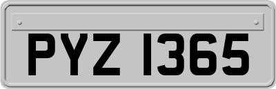 PYZ1365