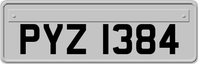 PYZ1384