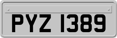 PYZ1389