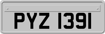 PYZ1391