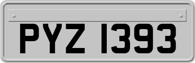 PYZ1393