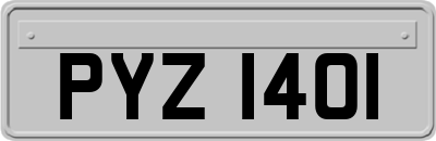 PYZ1401