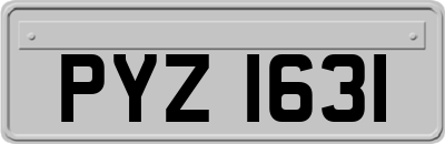 PYZ1631
