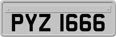 PYZ1666