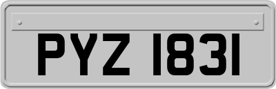 PYZ1831