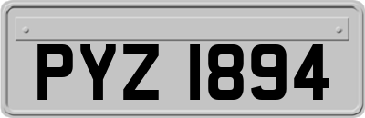PYZ1894