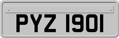PYZ1901