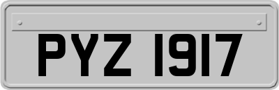PYZ1917