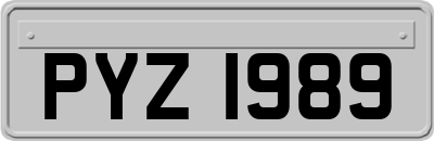 PYZ1989