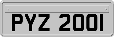 PYZ2001