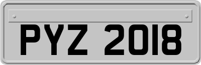 PYZ2018