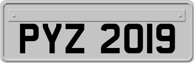 PYZ2019
