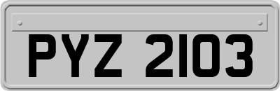 PYZ2103