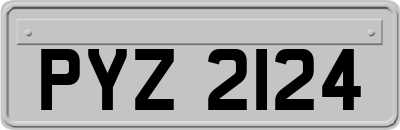 PYZ2124