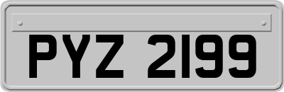 PYZ2199