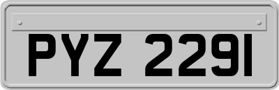 PYZ2291