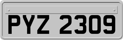 PYZ2309