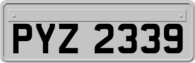 PYZ2339