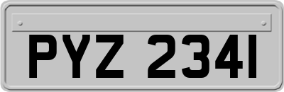 PYZ2341