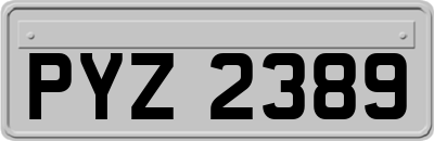 PYZ2389