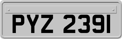PYZ2391