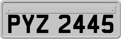 PYZ2445