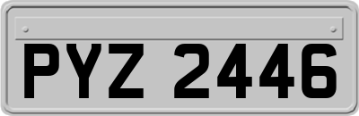 PYZ2446