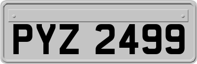 PYZ2499