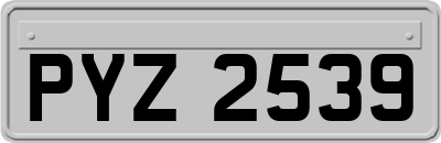PYZ2539