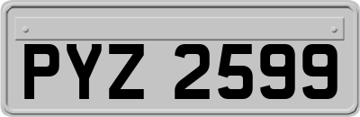 PYZ2599