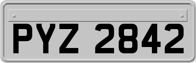 PYZ2842