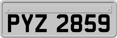 PYZ2859
