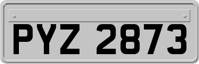 PYZ2873