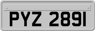 PYZ2891