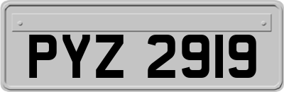 PYZ2919