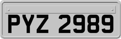 PYZ2989
