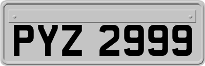 PYZ2999
