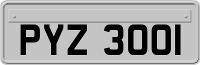 PYZ3001