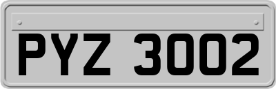 PYZ3002