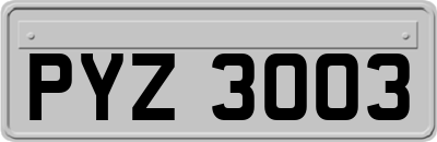 PYZ3003