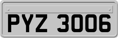 PYZ3006