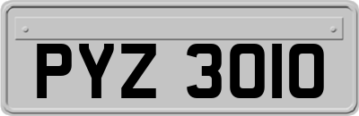 PYZ3010